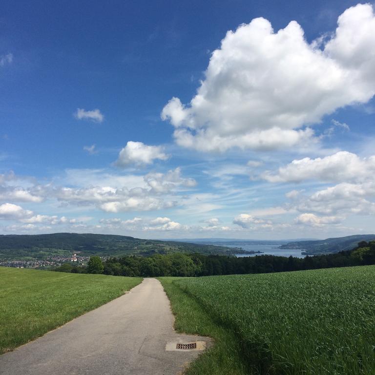 B&B Stein Am Rhein Exterior photo
